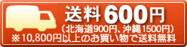 送料500円