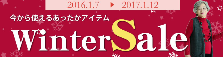 wintersale_header0107